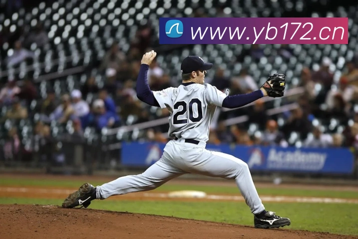 App功能展示图